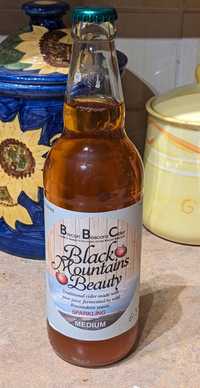 Brecon Beacons Cider Black Mountains Beauty - Medium Sparkling review