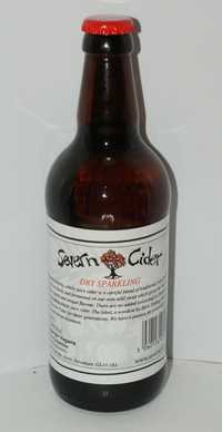 Severn Cider Dry Sparkling cider review