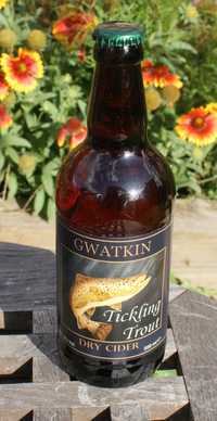 Gwatkin Tickling Trout review